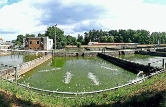 Třeboň fishery – Fish farm in Třeboň, Šaloun, Chlum u&nbsp;Třeboně and Mladá Vožice (CZ) | Kubíček VHS