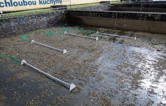 Třeboň fishery – Fish farm in Třeboň, Šaloun, Chlum u&nbsp;Třeboně and Mladá Vožice (CZ) | Kubíček VHS