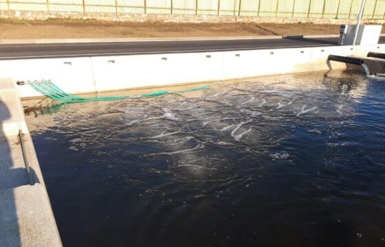 Fishery Pohořelice – Fish farm Velký Dvůr (CZ) | Kubíček VHS