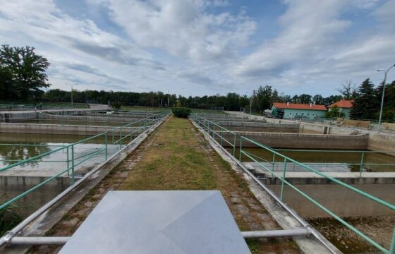 Fishery Nové Hrady – Fish farm Štiptoň (CZ) | Kubíček VHS
