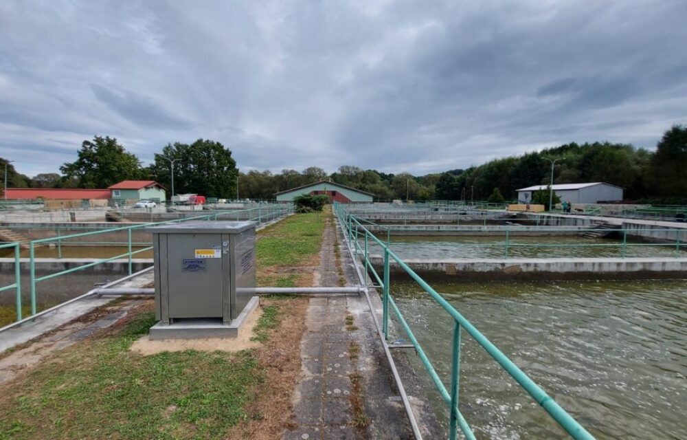 Fishery Nové Hrady – Fish farm Štiptoň (CZ) | Kubíček VHS