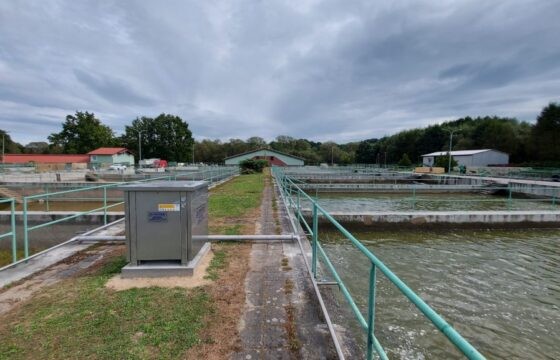 Fishery Nové Hrady – Fish farm Štiptoň (CZ)