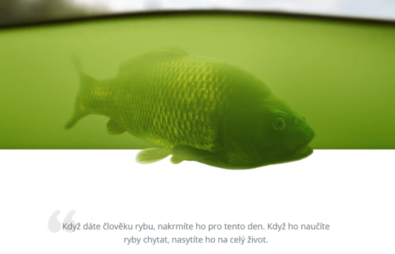 Český vánoční kapr