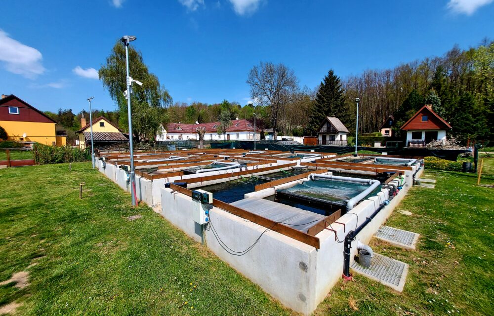 University of South Bohemia in České Budějovice – Faculty of Fisheries and Protection of Waters – Genetic Fishery Centre Vodňany (CZ) | Kubíček VHS