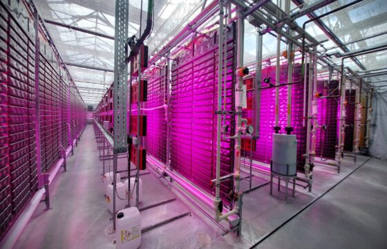 ALGAMO s.r.o. – Cultivation of algae for the production of Astaxanthin | Kubíček VHS
