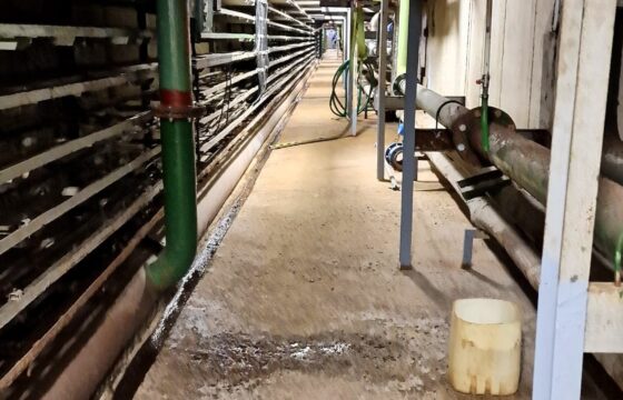 WWTP Spolchemie – Ústí nad Labem (CZ) | Kubíček VHS
