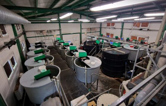 University of South Bohemia in České Budějovice – Faculty of Fisheries and Protection of Waters – Experimental and Fish Breeding Hall of the Laboratory of Intensive Aquaculture FROV JU Vodňany