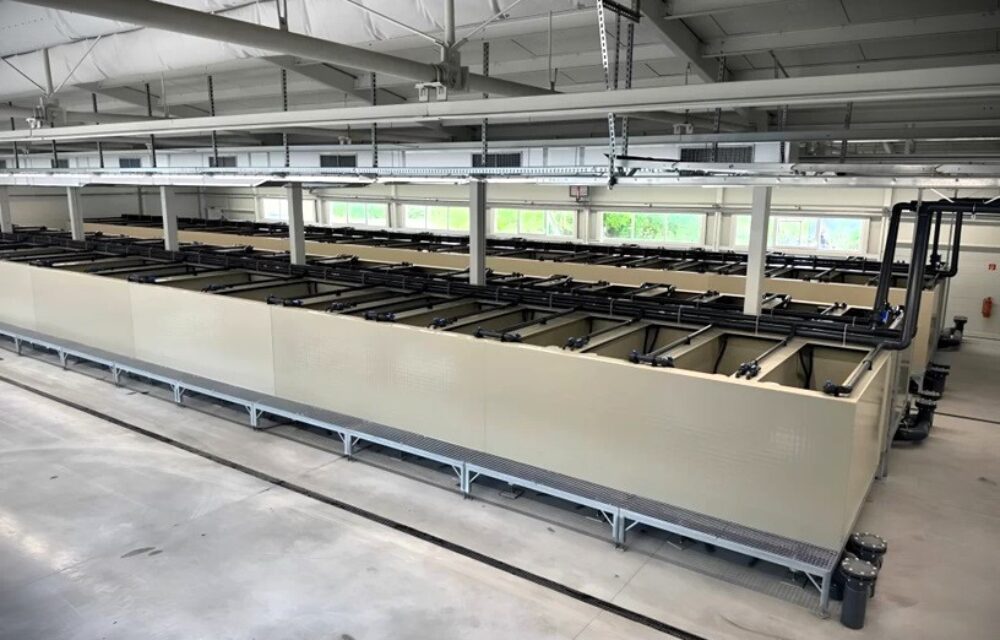 RAS – Fish Farm Senica (Slovakia) | Kubíček VHS