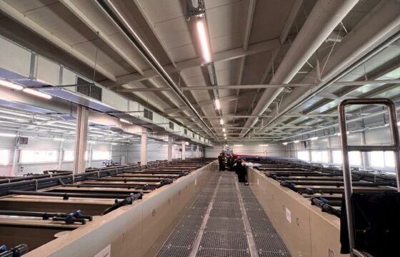 RAS – Fish Farm Senica (Slovakia) | Kubíček VHS
